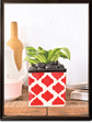 Square Rose Ceramic Pot (4.5 Inch Width)