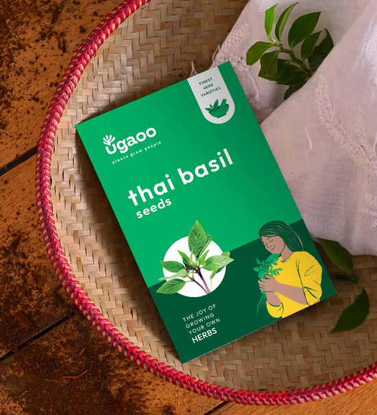 Thai Basil (1000 Seeds)