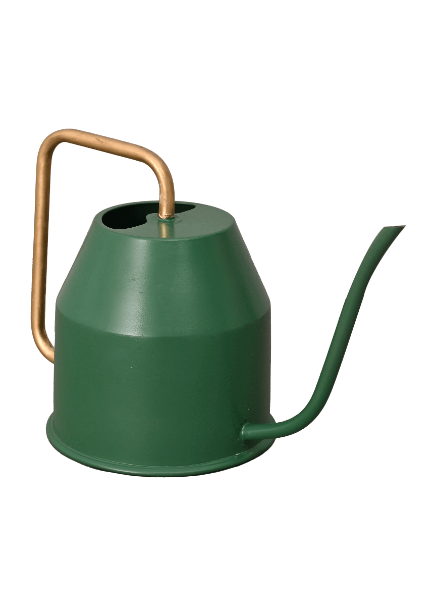 Watering cans buy watering can online for plants ugaoo