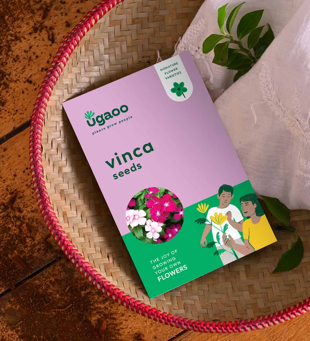 vinca flower seeds for sale Vinca Seeds – Ugaoo