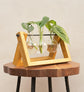 Wooden Test Tube Planter with Round Flask