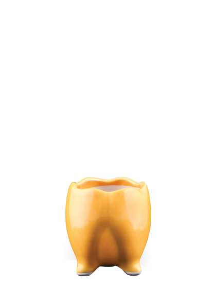 Tusker Ceramic Pot (4 Inch Diameter)